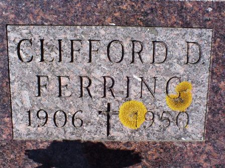 FERRING, CLIFFORD D - Jones County, Iowa | CLIFFORD D FERRING 