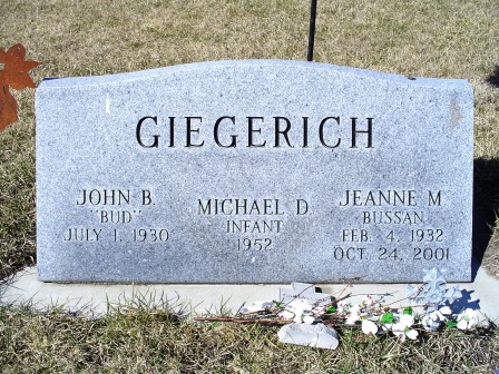 GIEGERICH, MICHAEL D - Jones County, Iowa | MICHAEL D GIEGERICH 