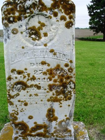 HAMILTON, LAURA G - Jones County, Iowa | LAURA G HAMILTON 