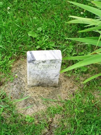 HARMON, PETER - Jones County, Iowa | PETER HARMON 