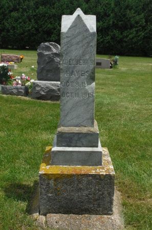 HAYES, ADELBERT R. - Jones County, Iowa | ADELBERT R. HAYES 