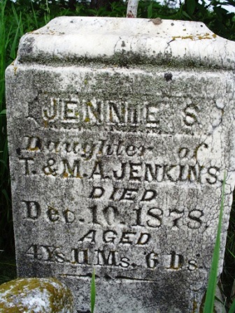 JENKINS, JENNIE S - Jones County, Iowa | JENNIE S JENKINS 