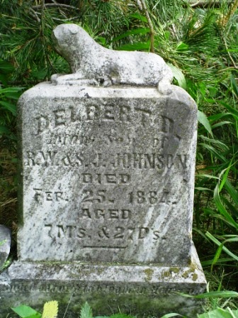 JOHNSON, DELBERT D - Jones County, Iowa | DELBERT D JOHNSON 