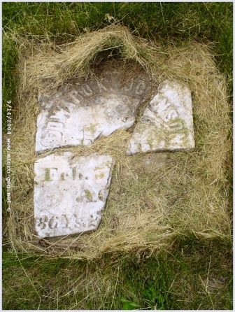 JOHNSON, EDWARD - Jones County, Iowa | EDWARD JOHNSON 