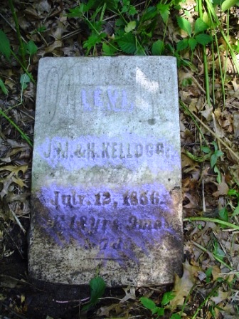 KELLOGG, LEVI - Jones County, Iowa | LEVI KELLOGG 