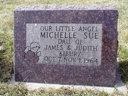 KIBURZ, MICHELLE SUE - Jones County, Iowa | MICHELLE SUE KIBURZ 