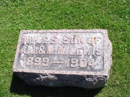 LEWIS, NYLE S - Jones County, Iowa | NYLE S LEWIS 