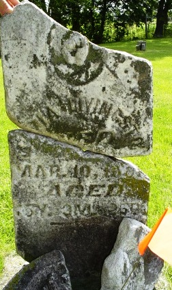 LIVINGSTON, MARTHA - Jones County, Iowa | MARTHA LIVINGSTON 