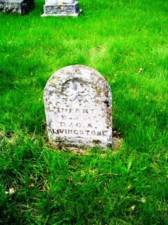 LIVINGSTONE, INFANT - Jones County, Iowa | INFANT LIVINGSTONE 