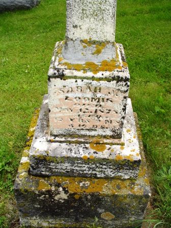 LOOMIS, SARAH M - Jones County, Iowa | SARAH M LOOMIS 