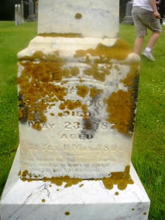 MACKRILL, ELLEN - Jones County, Iowa | ELLEN MACKRILL 