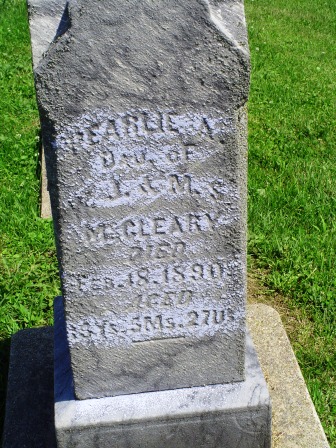 MCCLEARY, PEARLIE A - Jones County, Iowa | PEARLIE A MCCLEARY 