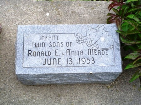 MEADE, TWIN SONS - Jones County, Iowa | TWIN SONS MEADE 