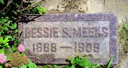 MEEKS, BESSIE S - Jones County, Iowa | BESSIE S MEEKS 