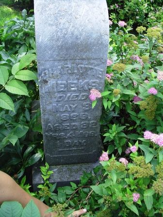 MEEKS, CHARLOTTE - Jones County, Iowa | CHARLOTTE MEEKS 