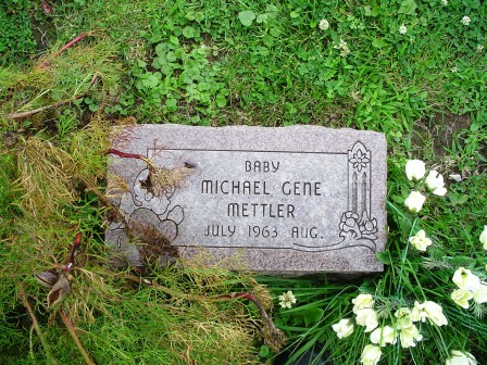 METTLER, MICHAEL GENE - Jones County, Iowa | MICHAEL GENE METTLER 