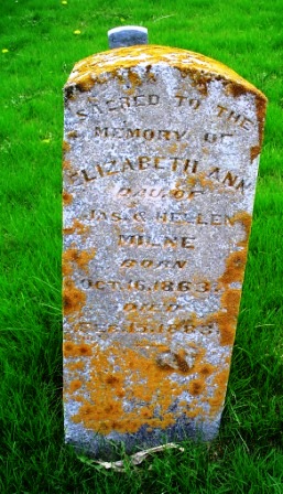 MILNE, ELIZABETH ANN - Jones County, Iowa | ELIZABETH ANN MILNE 