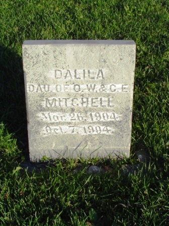 MITCHELL, DALILA - Jones County, Iowa | DALILA MITCHELL 