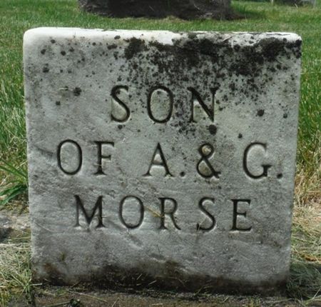 MORSE, SON - Jones County, Iowa | SON MORSE 
