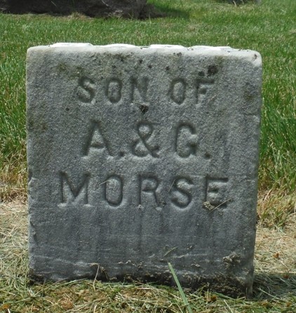 MORSE, SON - Jones County, Iowa | SON MORSE 