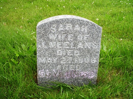 NEELANS, SARAH - Jones County, Iowa | SARAH NEELANS 