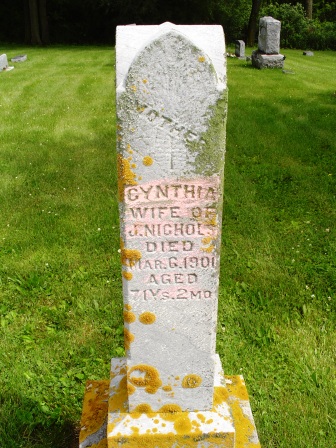 NICHOL, CYNTHIA - Jones County, Iowa | CYNTHIA NICHOL 