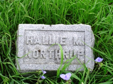 NORTHRUP, HALLIE M - Jones County, Iowa | HALLIE M NORTHRUP 