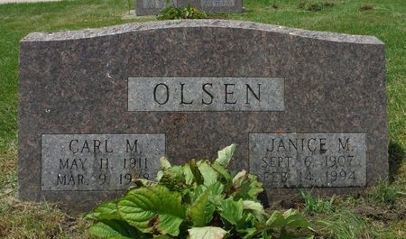 OLSEN, JANICE M. - Jones County, Iowa | JANICE M. OLSEN 