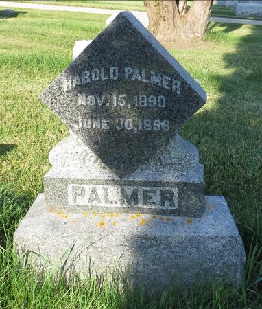 PALMER, HAROLD - Jones County, Iowa | HAROLD PALMER 