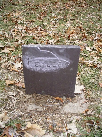 PEALER, UNKNOWN - Jones County, Iowa | UNKNOWN PEALER 