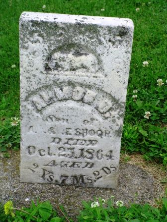 SHOOP, ALMON O - Jones County, Iowa | ALMON O SHOOP 