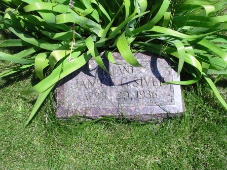 SIVER, JANICE G - Jones County, Iowa | JANICE G SIVER 