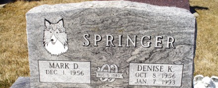 SPRINGER, DENISE K - Jones County, Iowa | DENISE K SPRINGER 