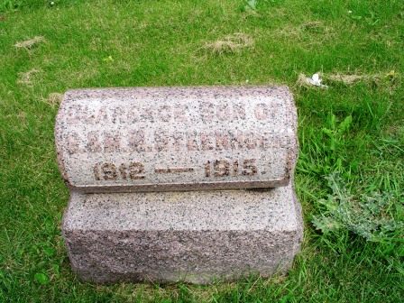 STEENHOEK, CLARENCE - Jones County, Iowa | CLARENCE STEENHOEK 