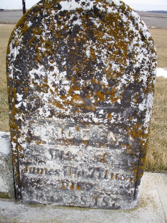 TITUS, ALICE A - Jones County, Iowa | ALICE A TITUS 