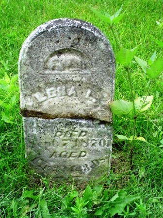 UNKNOWN, LENA L - Jones County, Iowa | LENA L UNKNOWN 