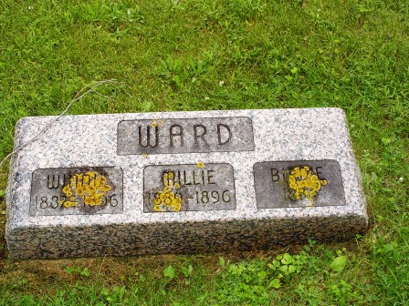 WARD, BIRDIE - Jones County, Iowa | BIRDIE WARD 