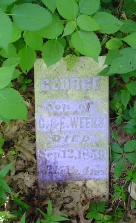 WEEKS, GEORGE - Jones County, Iowa | GEORGE WEEKS 