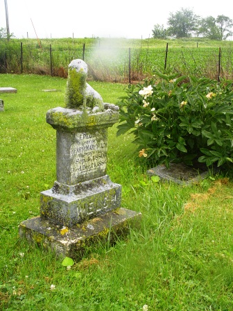 WELCH, FREDDIE - Jones County, Iowa | FREDDIE WELCH 