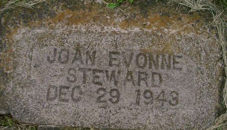 STEWARD, JOAN EVONNE - Lee County, Iowa | JOAN EVONNE STEWARD 