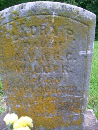 WILDER, LAURA P. - Lee County, Iowa | LAURA P. WILDER 