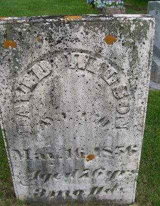 WILSON, DAVID - Lee County, Iowa | DAVID WILSON 