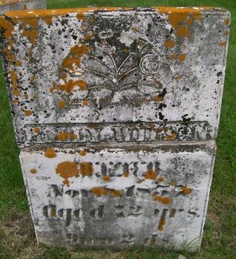 WILSON, POLLY - Lee County, Iowa | POLLY WILSON 