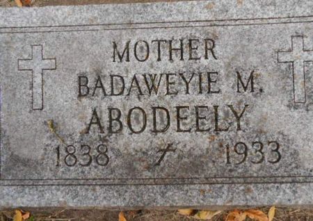 ABODEELY, BADAWEYIE M. - Linn County, Iowa | BADAWEYIE M. ABODEELY 