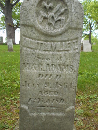 ADAMS, MONTROVILLE T. - Linn County, Iowa | MONTROVILLE T. ADAMS 