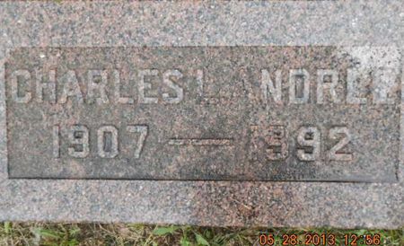 ANDRLE, CHARLES L. - Linn County, Iowa | CHARLES L. ANDRLE 
