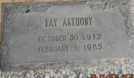 ANTHONY, FAY - Linn County, Iowa | FAY ANTHONY 