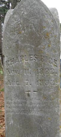 BICE, CHARLES - Linn County, Iowa | CHARLES BICE 