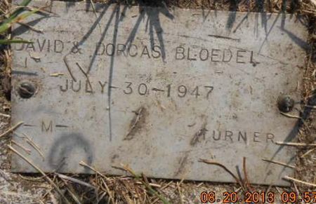 BLOEDEL, DAVID - Linn County, Iowa | DAVID BLOEDEL 