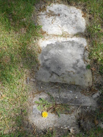 BROWN, THOMAS - Linn County, Iowa | THOMAS BROWN 